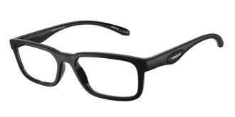AN7283 RAYSIN 3002