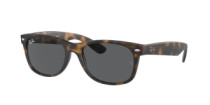 NEW WAYFARER