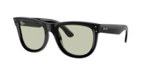 WAYFARER REVERSE