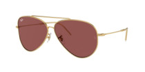 AVIATOR REVERSE