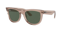 WAYFARER REVERSE