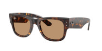 MEGA WAYFARER