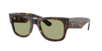 MEGA WAYFARER
