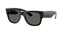 MEGA WAYFARER