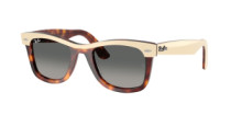 WAYFARER