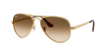 AVIATOR MAX