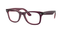 WAYFARER EASE