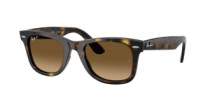 WAYFARER EASE