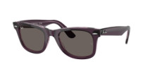 WAYFARER