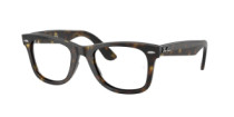 WAYFARER EASE
