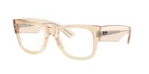 MEGA WAYFARER