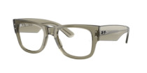 MEGA WAYFARER