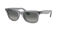 WAYFARER