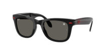 FOLDING WAYFARER