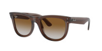 WAYFARER REVERSE